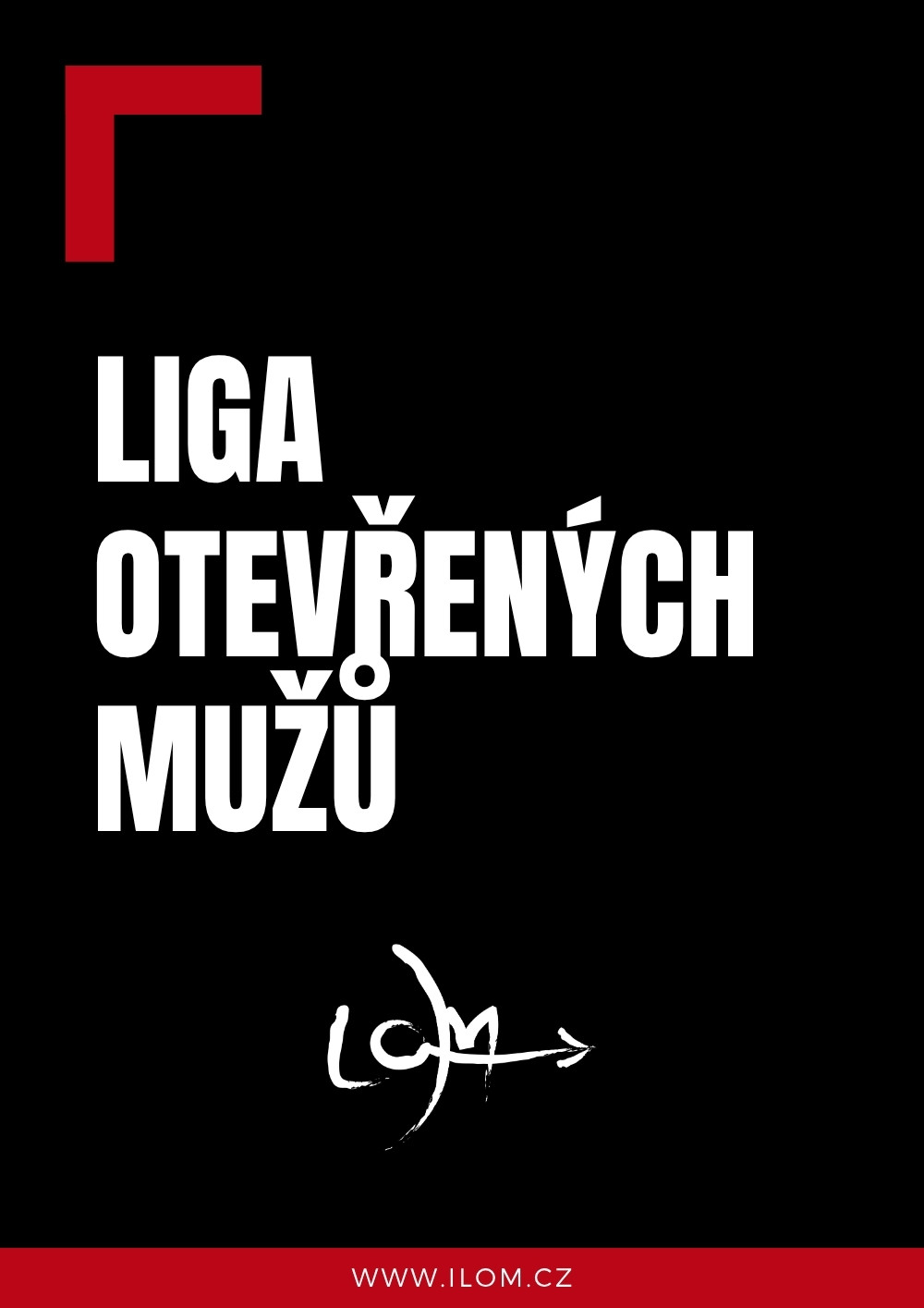 Liga otevřených mužů - náhledový obrázek
