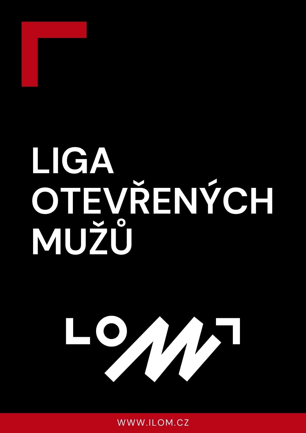 Liga otevřených mužů - náhledový obrázek